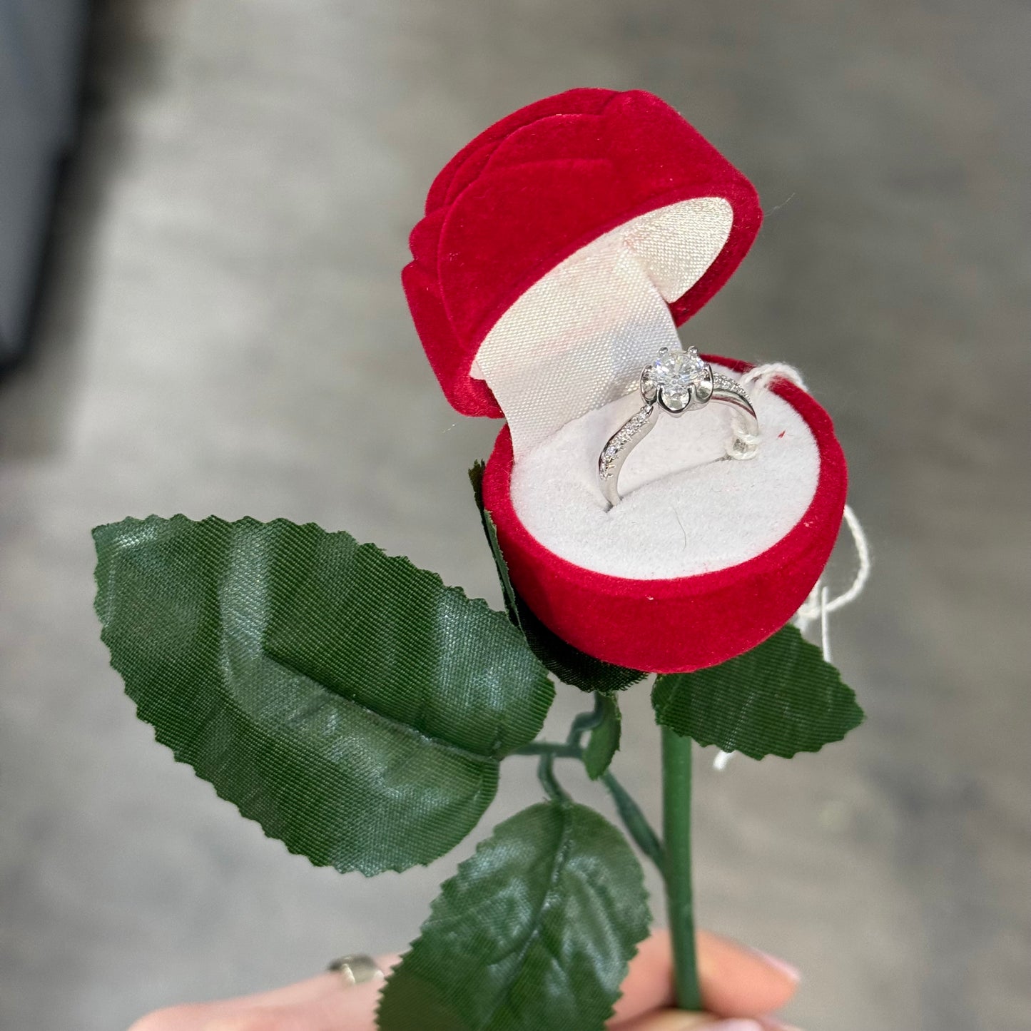 Anello Halo collezione Rose 12/12
