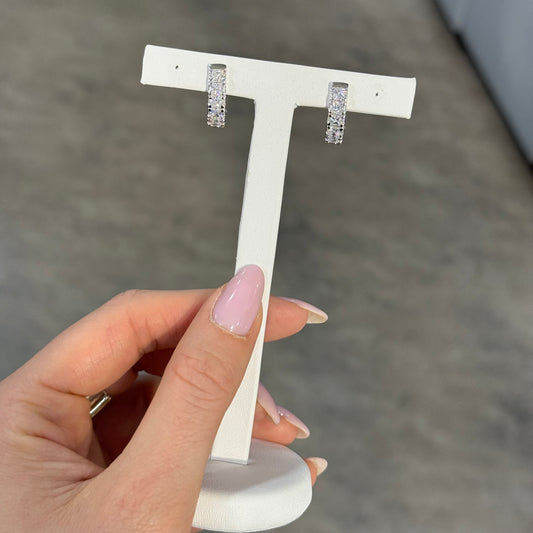 Orecchini Iris Silver